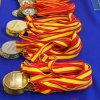 II Campeonato de Espana